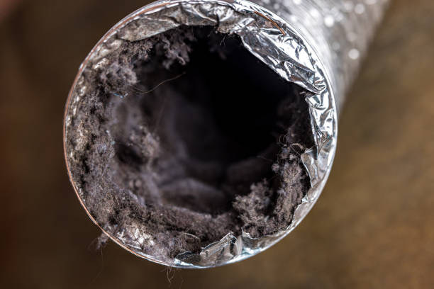 Best Professional Duct Cleaning Services  in Malakoff, TX